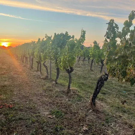 De Fontindoule * Monbazillac