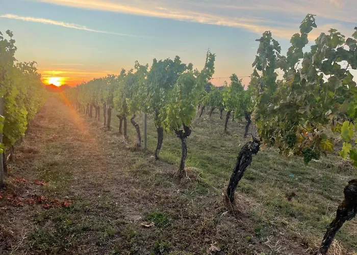 De Fontindoule * Monbazillac